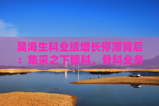 昊海生科业绩增长停滞背后：集采之下眼科、骨科业务熄火 玻尿酸业务增速显著放缓  第1张