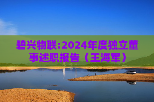 碧兴物联:2024年度独立董事述职报告（王海军）  第1张