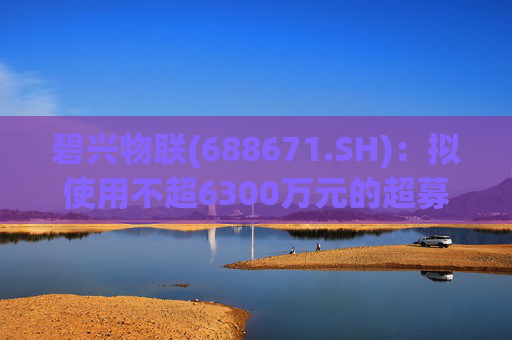 碧兴物联(688671.SH)：拟使用不超6300万元的超募资金永久补充流动资金