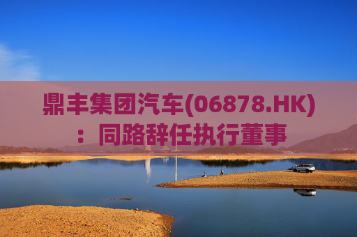 鼎丰集团汽车(06878.HK)：同路辞任执行董事