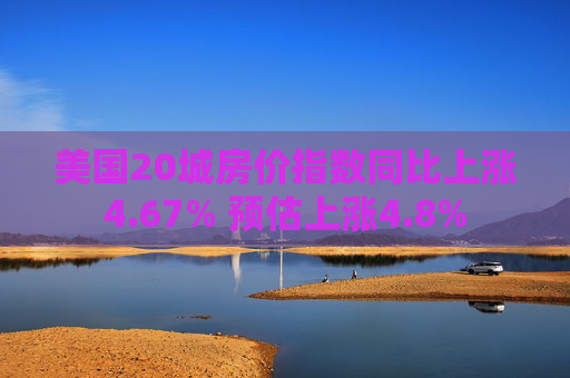 美国20城房价指数同比上涨4.67% 预估上涨4.8%  第1张