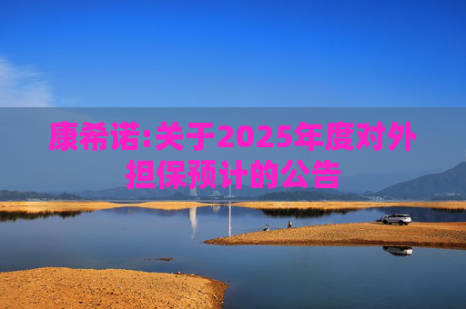 康希诺:关于2025年度对外担保预计的公告  第1张