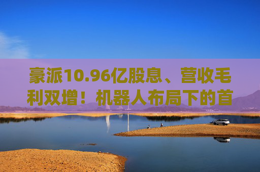 豪派10.96亿股息、营收毛利双增！机器人布局下的首程控股(0697.HK)喜提2024年报