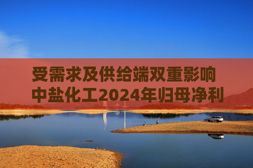 受需求及供给端双重影响 中盐化工2024年归母净利润下降56.32%