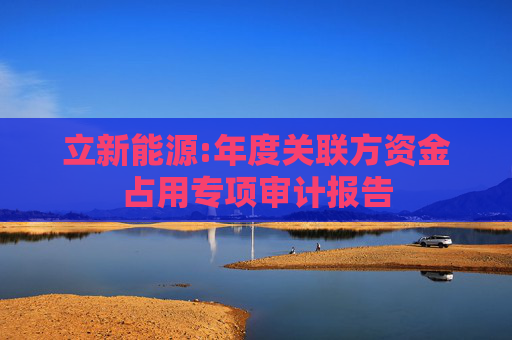立新能源:年度关联方资金占用专项审计报告