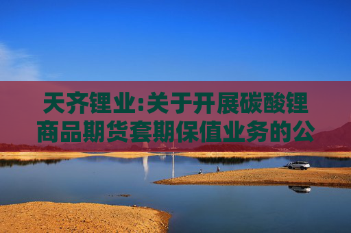天齐锂业:关于开展碳酸锂商品期货套期保值业务的公告  第1张