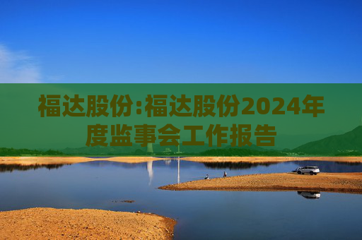 福达股份:福达股份2024年度监事会工作报告  第1张