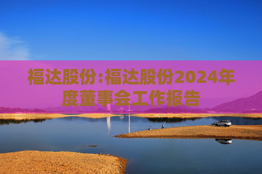 福达股份:福达股份2024年度董事会工作报告