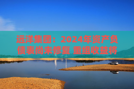远洋集团：2024年资产负债表尚未修复 重组收益将于2025年释放  第1张