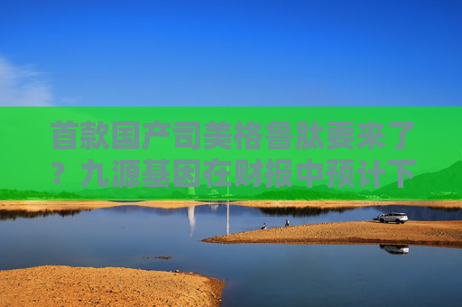 首款国产司美格鲁肽要来了？九源基因在财报中预计下半年获批
