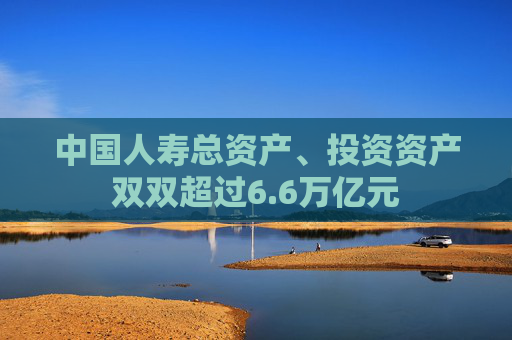 中国人寿总资产、投资资产双双超过6.6万亿元