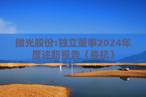 微光股份:独立董事2024年度述职报告（娄杭）