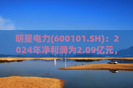 明星电力(600101.SH)：2024年净利润为2.09亿元，同比上升16.7%  第1张