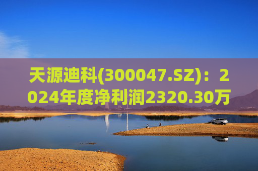 天源迪科(300047.SZ)：2024年度净利润2320.30万元 拟10派0.15元