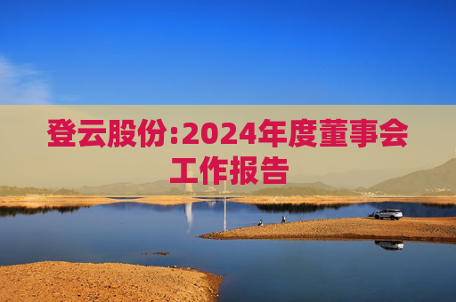 登云股份:2024年度董事会工作报告  第1张