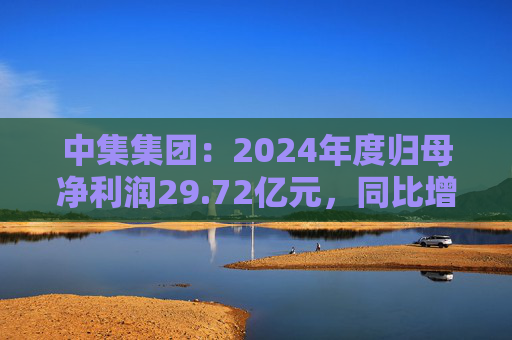 中集集团：2024年度归母净利润29.72亿元，同比增长605.60%