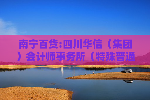 南宁百货:四川华信（集团）会计师事务所（特殊普通合伙）南宁百货大楼股份有限公司2024年度财务报表审计报告