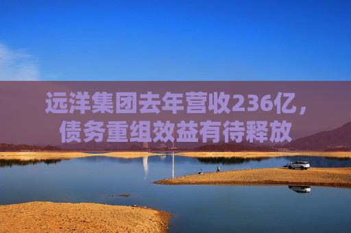 远洋集团去年营收236亿，债务重组效益有待释放