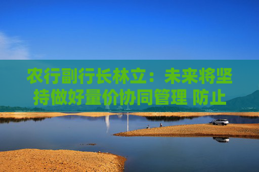 农行副行长林立：未来将坚持做好量价协同管理 防止价格内卷