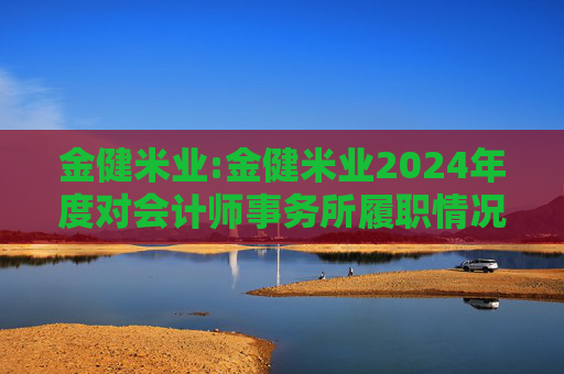 金健米业:金健米业2024年度对会计师事务所履职情况的评估报告