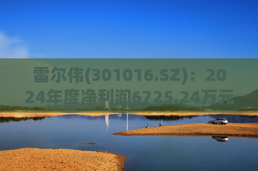 雷尔伟(301016.SZ)：2024年度净利润6725.24万元 拟10转4派6元
