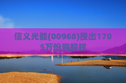 信义光能(00968)授出1705万份购股权  第1张