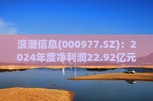 浪潮信息(000977.SZ)：2024年度净利润22.92亿元 拟10派1.15元  第1张