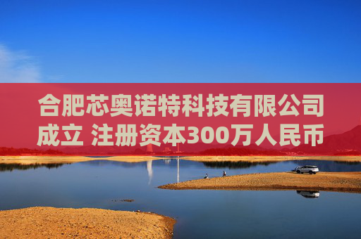 合肥芯奥诺特科技有限公司成立 注册资本300万人民币