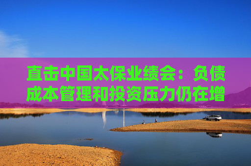 直击中国太保业绩会：负债成本管理和投资压力仍在增加 2025增配长期利率债 不在单一行业上过多举牌