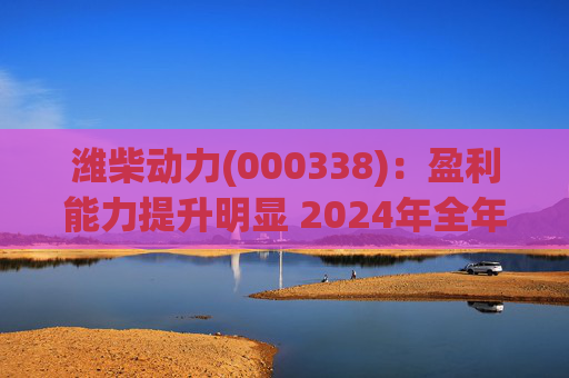 潍柴动力(000338):盈利能力提升明显 2024年全年业绩超预期 第1张 潍柴动力(000338):盈利能力提升明显 2024年全年业绩超预期 第1张