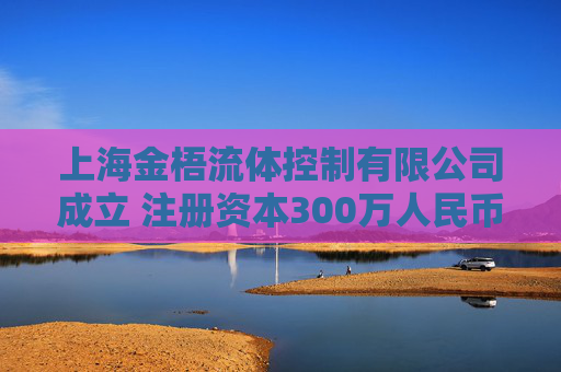 上海金梧流体控制有限公司成立 注册资本300万人民币