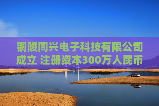 铜陵同兴电子科技有限公司成立 注册资本300万人民币