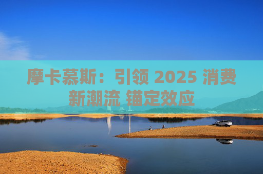 摩卡慕斯：引领 2025 消费新潮流 锚定效应  第1张