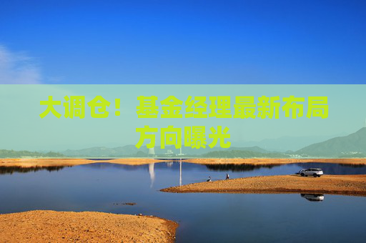 大调仓！基金经理最新布局方向曝光