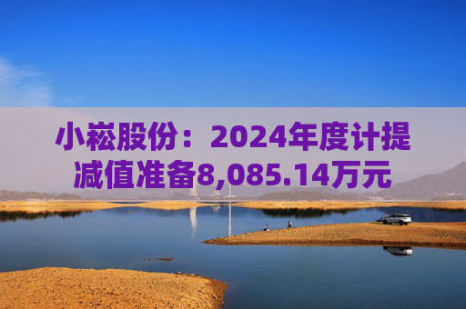 小崧股份：2024年度计提减值准备8,085.14万元
