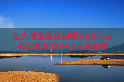 五大险企去年日赚9.48亿元 有公司加仓千亿元买股票