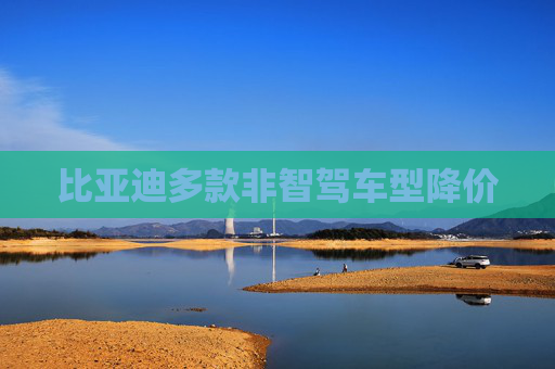 比亚迪多款非智驾车型降价  第1张