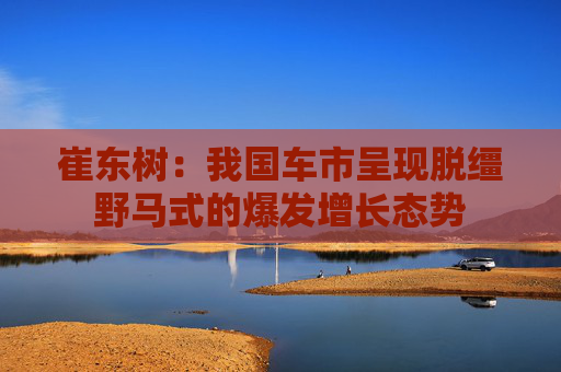 崔东树：我国车市呈现脱缰野马式的爆发增长态势  第1张