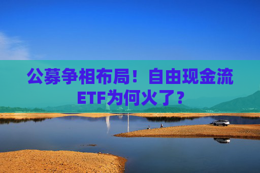 公募争相布局！自由现金流ETF为何火了？