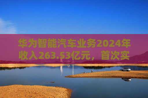 华为智能汽车业务2024年收入263.53亿元，首次实现当年盈利