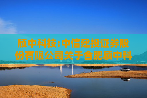 颀中科技:中信建投证券股份有限公司关于合肥颀中科技股份有限公司2024年度募集资金存放与实际使用情况的专项核查报告  第1张