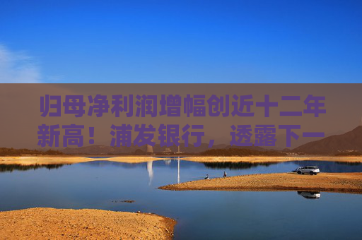 归母净利润增幅创近十二年新高！浦发银行，透露下一步方向