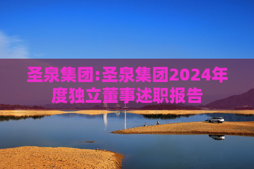 圣泉集团:圣泉集团2024年度独立董事述职报告