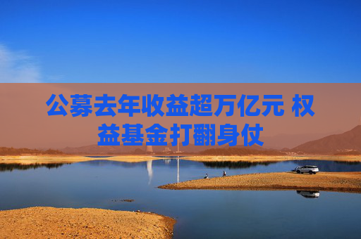 公募去年收益超万亿元 权益基金打翻身仗