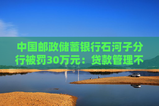 中国邮政储蓄银行石河子分行被罚30万元：贷款管理不到位