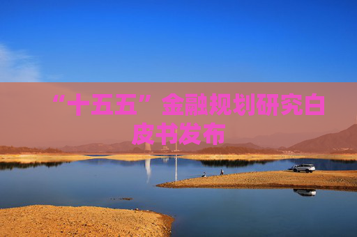 “十五五”金融规划研究白皮书发布