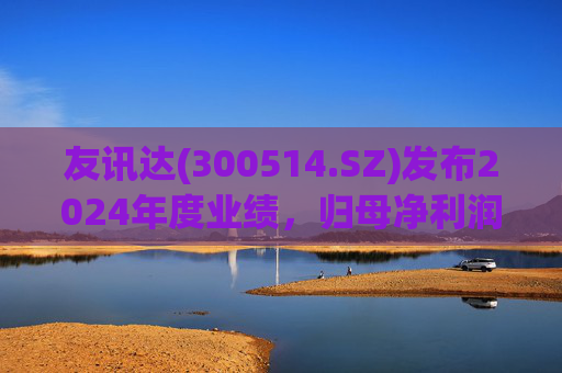 友讯达(300514.SZ)发布2024年度业绩，归母净利润1.98亿元，增长3.43%  第1张