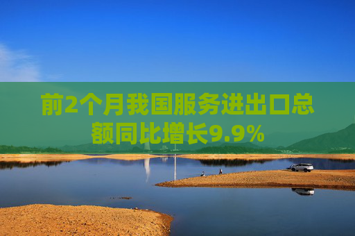 前2个月我国服务进出口总额同比增长9.9%