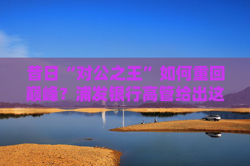 昔日“对公之王”如何重回巅峰？浦发银行高管给出这些打法