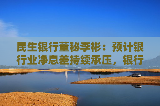 民生银行董秘李彬：预计银行业净息差持续承压，银行业收入增长面临比较大的压力  第1张